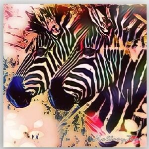 "Rainbow Zebras" Original Artwork By MalloryJane Framed 16x16 Print,   Colorful